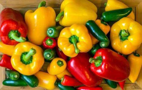 Alimentos que ayudan a activar el sistema inmunitario